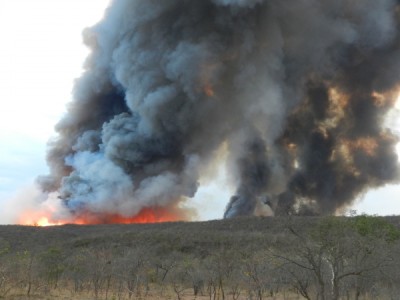 Incêndio ocorrido em outubro de 2012, na próximo ao Tinguis. 